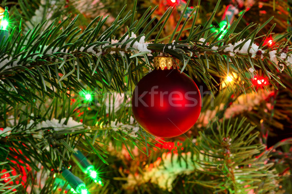 Stok fotoğraf: Kırmızı · noel · süs · asılı