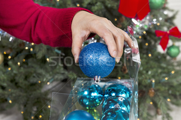 Stock photo: Ending the Seasonal Holidays 