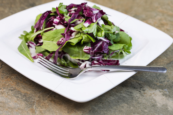 Closeup view of fresh Salad on White Plate Stock photo © tab62