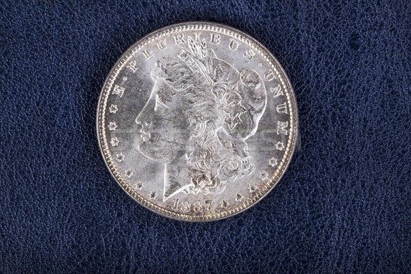 Silver Dollar on Blue Vinyl Holder  Stock photo © tab62
