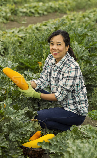 商业照片: 成熟 · 妇女 · 蔬菜 · 新鲜 · 黄色 / mature women