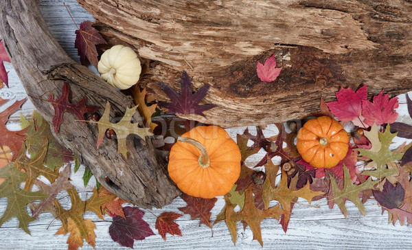 Rustikal Herbst saisonabhängig Dekorationen Holz Blätter Stock foto © tab62