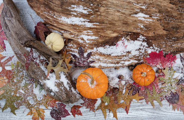 Rustic toamnă sezonier decoratiuni driftwood frunze Imagine de stoc © tab62