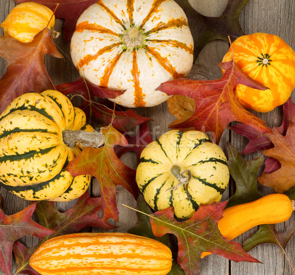 Autumn decorations and oak leaves on rustic wooden boards Stock photo © tab62