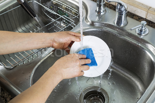 Female hands washing single white dinner plate  Stock photo © tab62