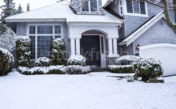 Nieve casa horizontal foto suburbano casa Foto stock © tab62
