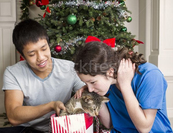 Urlaub Kitty Katze Haustier heraus Geschenk Stock foto © tab62