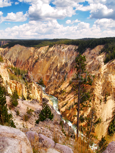 Colorful Yellowstone Canyon with river flowing Stock photo © tab62