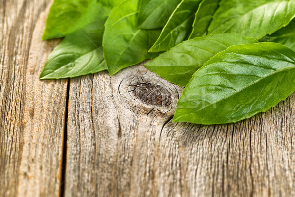 Close up fresh basil leafs on rustic wooden boards Stock photo © tab62