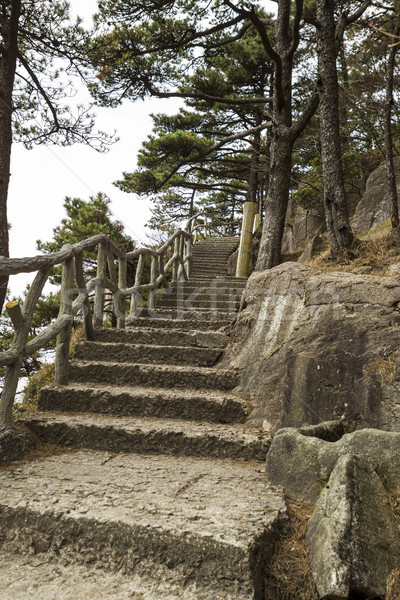 Stone Staircase in Yellow Mountain China  Stock photo © tab62