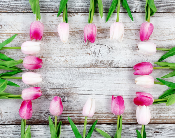 Négyszögletes keret húsvét tulipánok rusztikus fehér Stock fotó © tab62