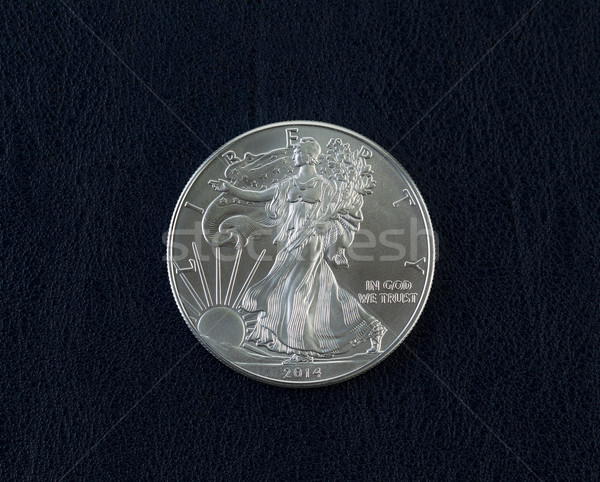 Americano argento aquila dollaro moneta primo piano Foto d'archivio © tab62