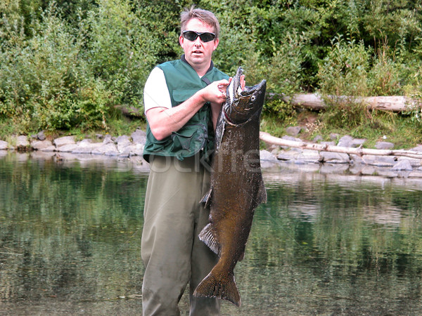 Man lands large king salmon Stock photo © tab62