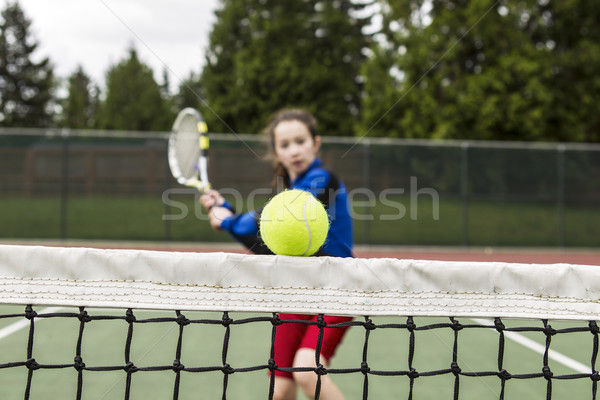 Tennis Drop Shot  Stock photo © tab62