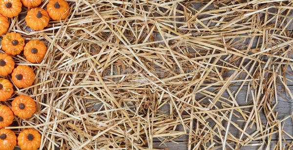 Border of pumpkins on dried straw and rustic wood for Autumn hol Stock photo © tab62