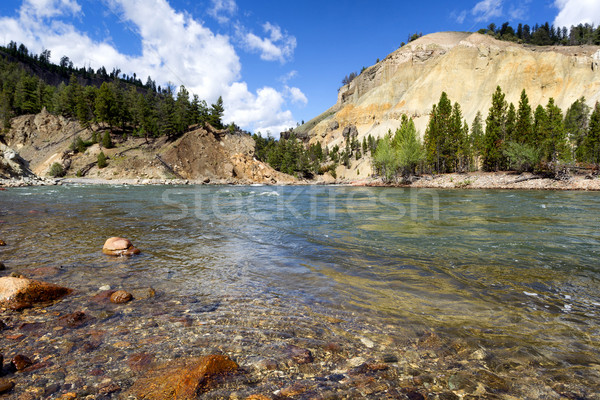 Yellowstone River running through Canyon during summer day  Stock photo © tab62