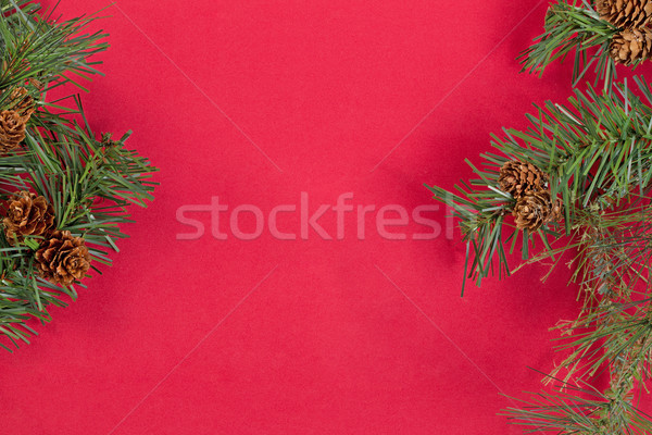 Stock foto: Immergrün · Niederlassungen · Grenzen · rot · Seite · Weihnachten
