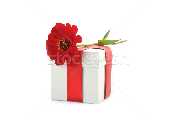 giftbox and red flower Stock photo © taden