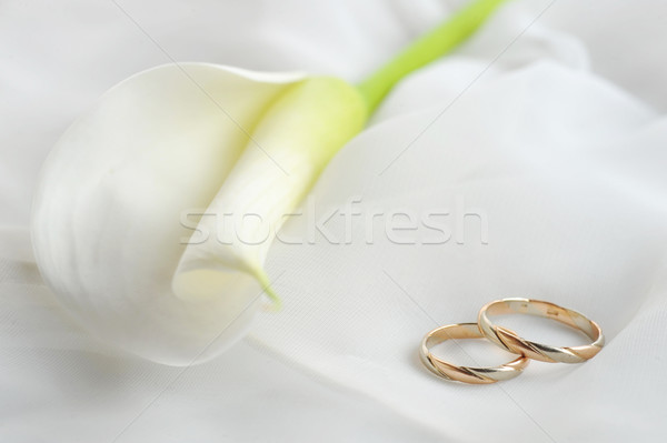 Jegygyűrűk fehér virág fehér anyag esküvő levél Stock fotó © taden