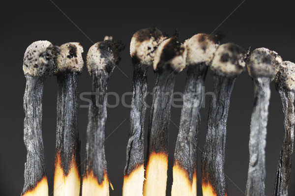 Stock photo: row of matches