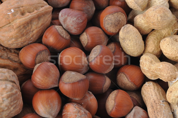 Unterschiedlich Nüsse legen Essen Holz Stock foto © taden