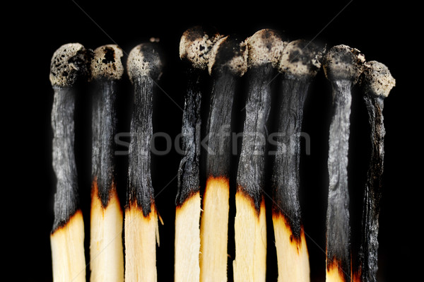 row of matches Stock photo © taden