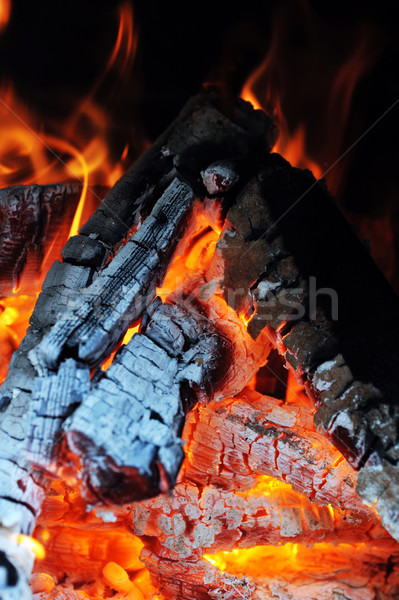 Burning down fire Stock photo © taden