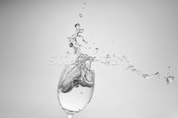 water splash freeze motion Stock photo © taden