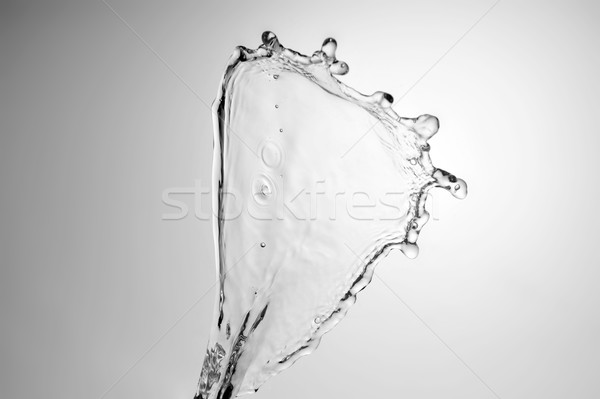 beautiful  water splash freeze Stock photo © taden