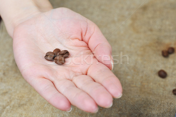 Granos de café manos mantener café Foto stock © taden