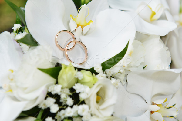 orchids and wedding rings Stock photo © taden
