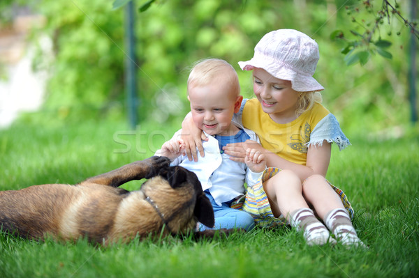 Copii câine fată frate joc Imagine de stoc © taden
