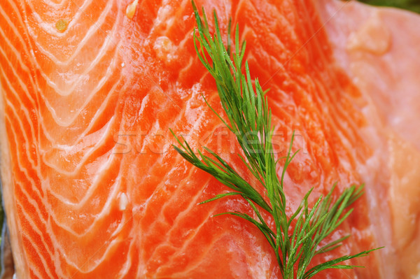  piece of  salmon with   dill   Stock photo © taden