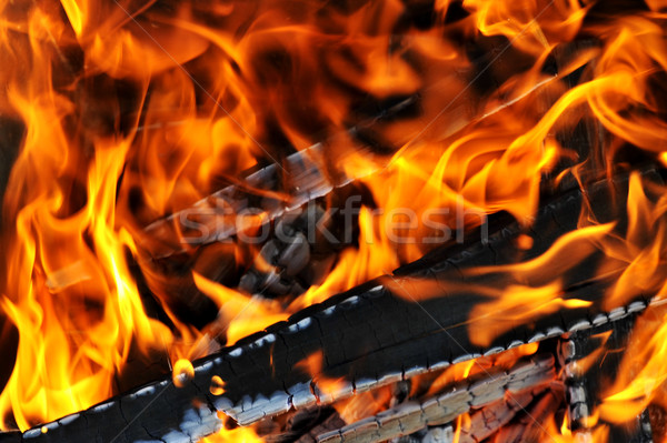 Burning down fire Stock photo © taden