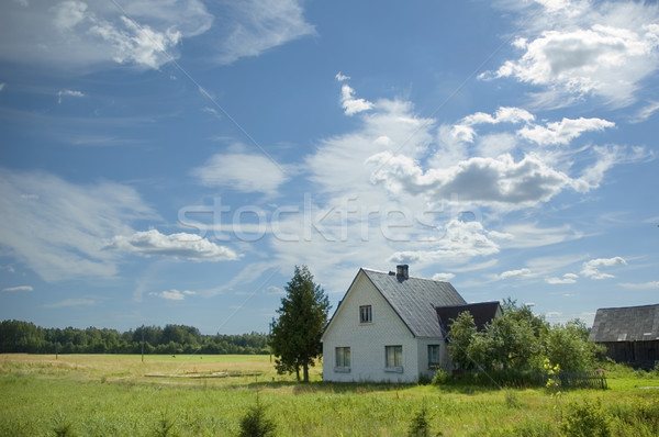 house in the country Stock photo © taden