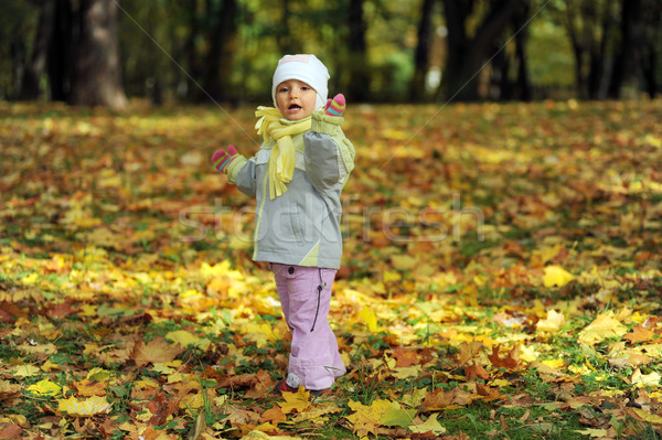 Fată joc toamnă parc destul de familie Imagine de stoc © taden