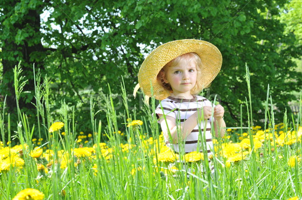 Ragazza fioritura campo bambina paglietta fiore Foto d'archivio © taden