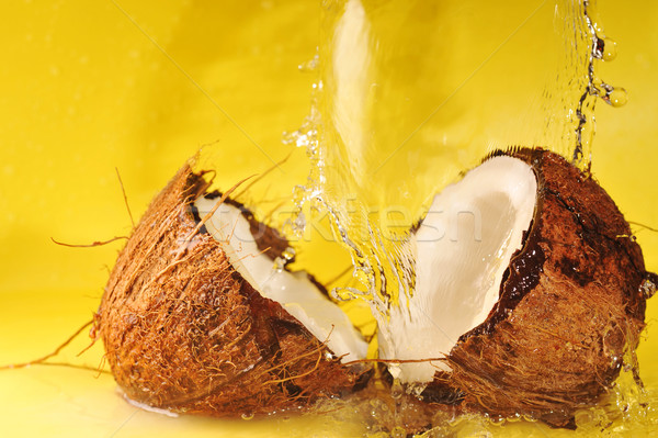 Zdjęcia stock: Kokosowe · żółty · biały · splash