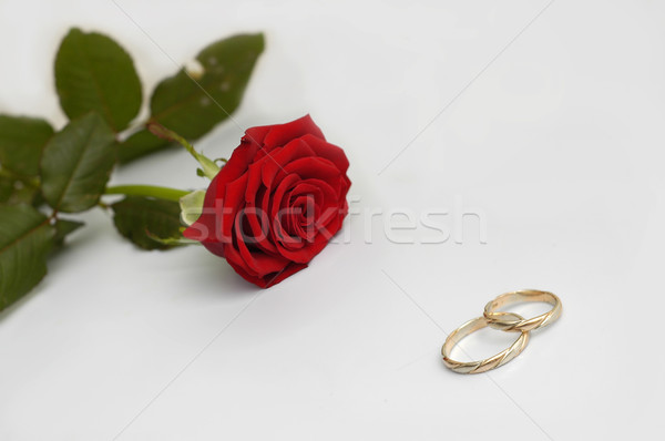 Rote Rose Ringe Hochzeit Herz Ehe Stock foto © taden