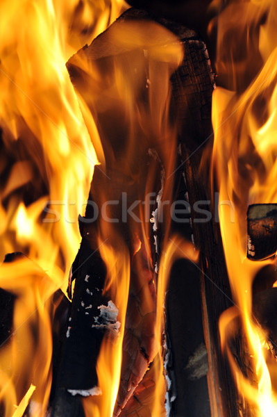 Hellen Flamme Feuer dunkel abstrakten Natur Stock foto © taden