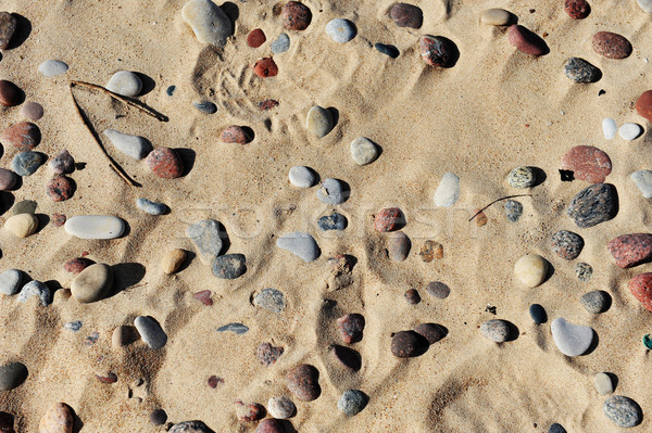 Kamienie piasku morza wybrzeża lata dzień Zdjęcia stock © taden