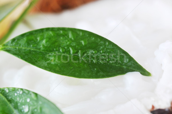 ripe coconut and leaves Stock photo © taden