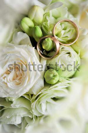 Jegygyűrűk rózsák virág rózsa levél pár Stock fotó © taden