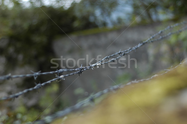 Alambre de púas superior pared óxido cerca alambre Foto stock © taden