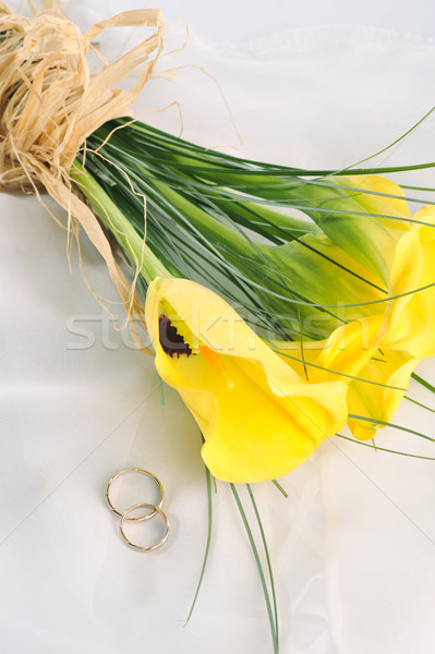 黄色 ユリ 結婚指輪 孤立した 白 シルク ストックフォト © taden