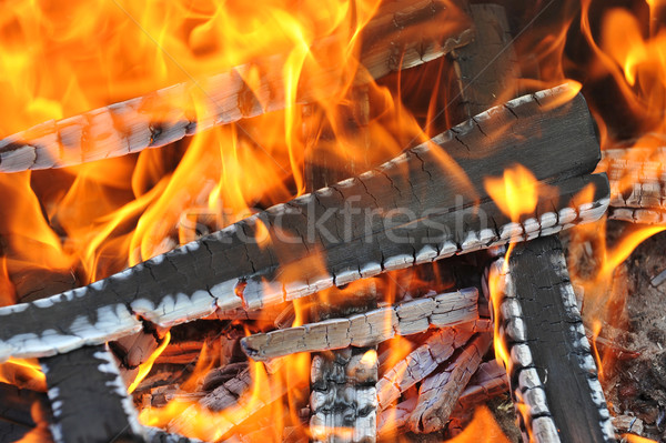 Burning down fire Stock photo © taden