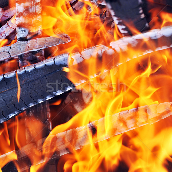 Burning down fire Stock photo © taden