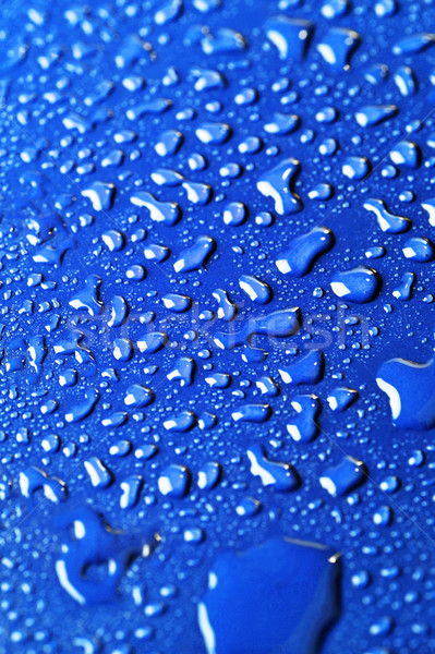 water drops on color background Stock photo © taden