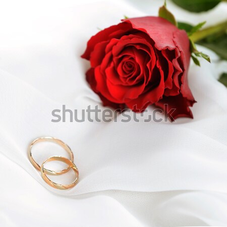 красную розу кольцами изолированный белый свадьба сердце Сток-фото © taden