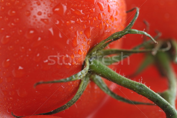 fresh tomato with water drops Stock photo © taden